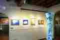 Galleria Web Art